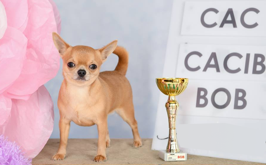 Выставки 2025