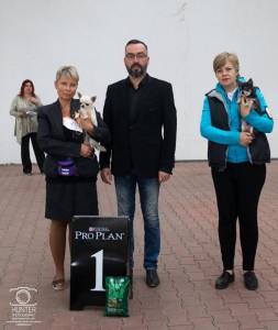 GLADIATOR GARRY BARDASH KENNEL