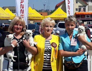 GLADIATOR GARRY BARDASH KENNEL